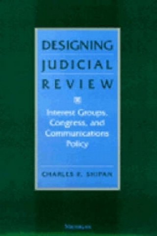 Designing Judicial Review