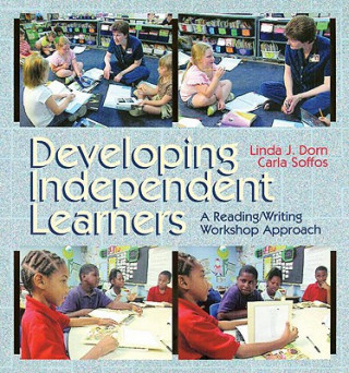 Developing Independent Learners (DVD)