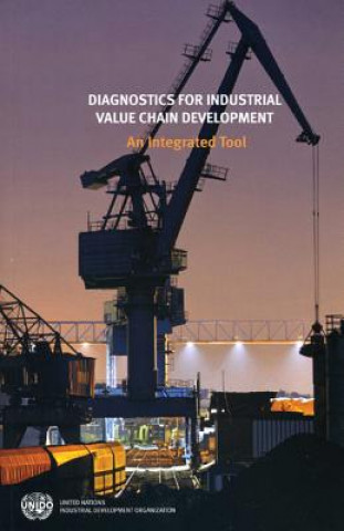 Diagnostics for Industrial Value Chain Development