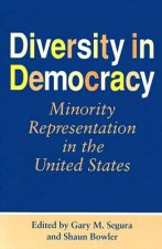 Diversity in Democracy