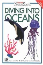 Diving into Oceans
