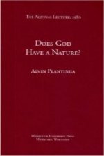 Does God Have a Nature?