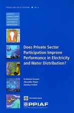 Does Private Sector Participation Improve Performance in Electricity and Water Distribution?