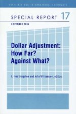 Dollar Adjustment - How Far? Against What?