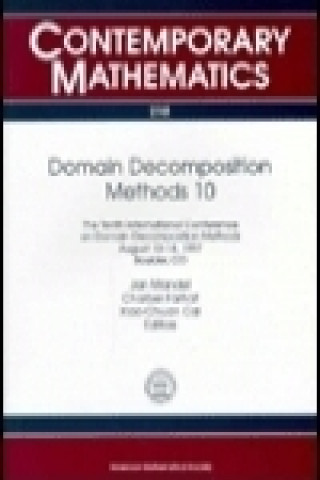 Domain Decomposition Methods