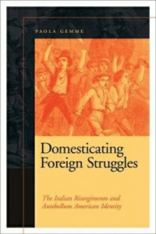 Domesticating Foreign Struggles