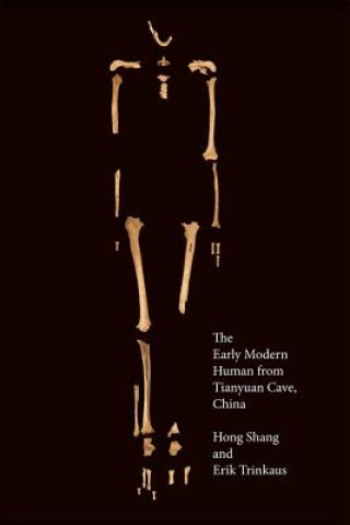 Early Modern Human from Tianyuan Cave, China
