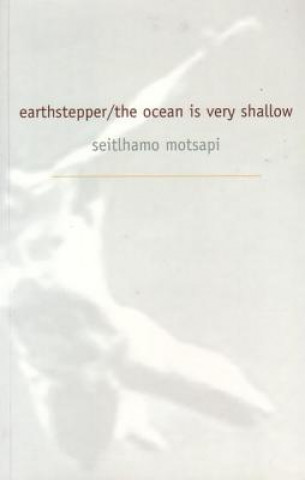 Earth Stepper/The Ocean Is Very Shallow