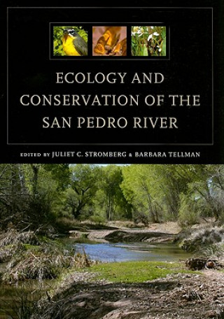 Ecology and Conservation of the San Pedro River