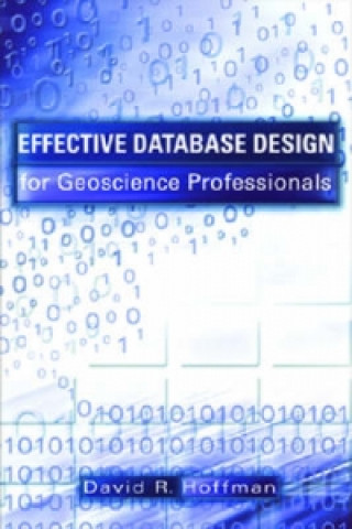Effective Database Design for Geoscience Professionals