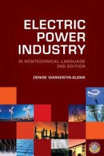 Electric Power Industry in Nontechnical Language
