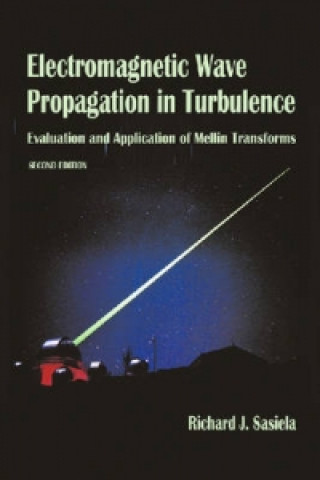 Electromagnetic Wave Propagation in Turbulence