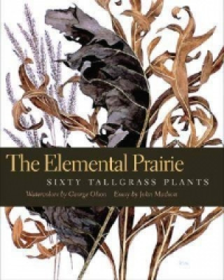 Elemental Prairie