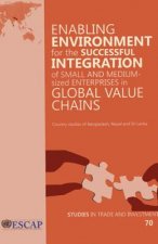 Enabling Environment for the Successful Integration of Small and Medium-Sized Enterprises in Global Value Chains