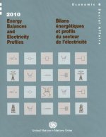 2010 energy balances and electricity profiles