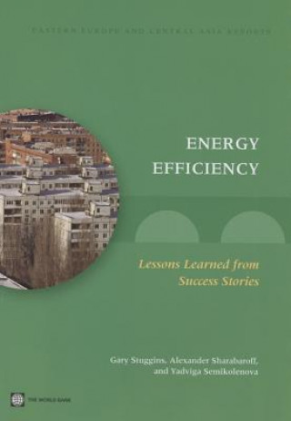 Energy Efficiency