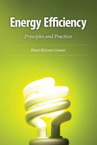 Energy Efficiency