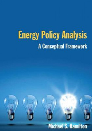 Energy Policy Analysis: A Conceptual Framework