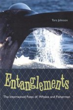 Entanglements