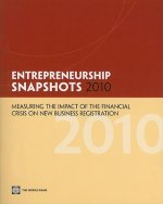 Entrepreneurship Snapshots 2010