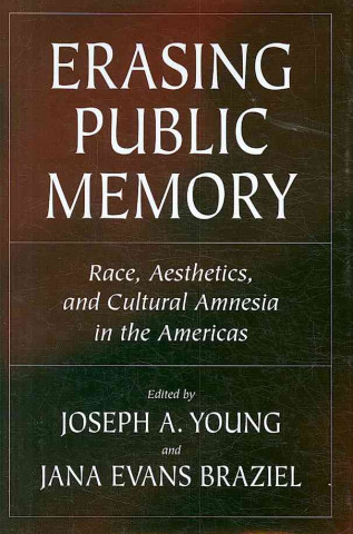 Erasing Public Memory: Race, Aesthetics, And Cultural Amnesia In The Americas (H736/Mrc)
