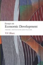 Essays on Economic Development