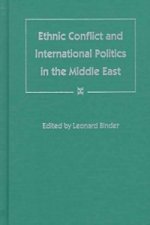 Ethnic Conflict and International Politics in the Middle East