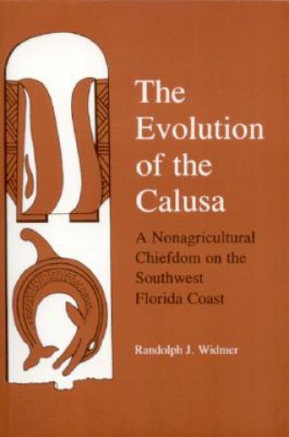 Evolution of the Calusa