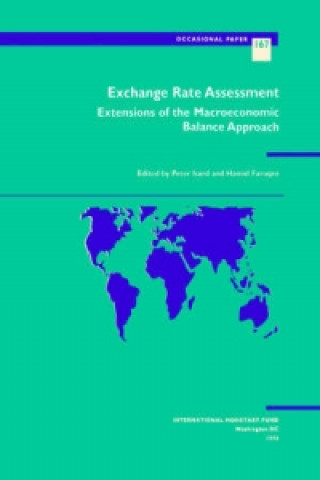 Exchange Rate Assessment