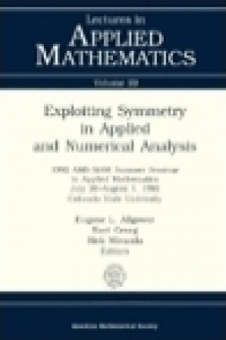 Exploiting Symmetry in Applied and Numerical Analysis