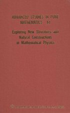 Exploring New Structures And Natural Constructions In Mathematical Physics