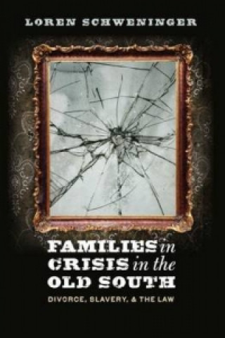 Families in Crisis in the Old South