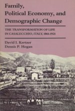 Family, Political Economy and Demographic Change