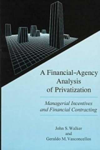 Financial Agency Analysis of Privatization