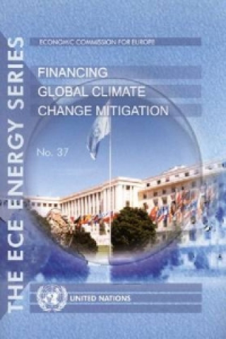 Financing Global Climate Change Mitigation