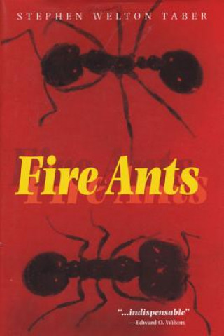 Fire Ants