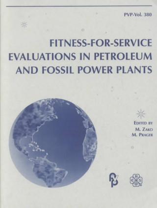 FITNESS-FOR-SERVICE EVALUATIONS IN PETROLEUM AND FOSSIL POWER PLANTS (H01161)