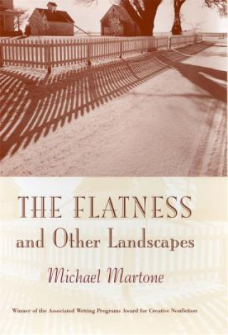 Flatness and Other Landscape