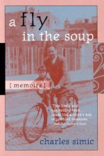Fly in the Soup