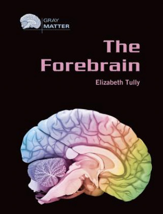 Forebrain