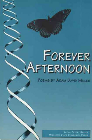 Forever Afternoon