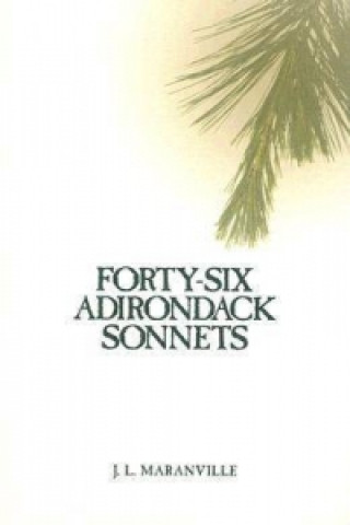 Forty-six Adirondack Sonnets