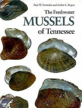 Freshwater Mussels Tennessee