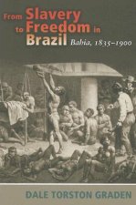 From Slavery to Freedom in Brazil
