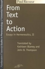 From Text to Action: Essays in Hermeneutics Vol 2