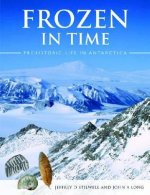 Frozen in Time