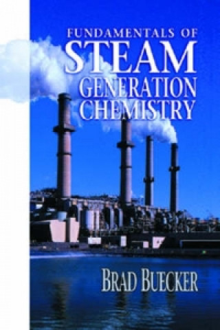 Fundamentals of Steam Generation Chemistry