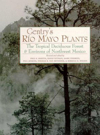 GENTRY'S RIO MAYO PLANTS