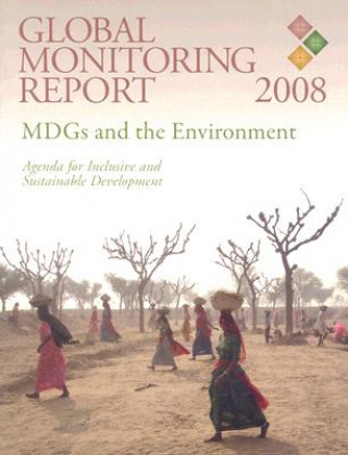 Global Monitoring Report 2008