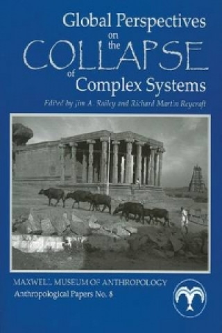 Global Perspectives on the Collapse of Complex Systems